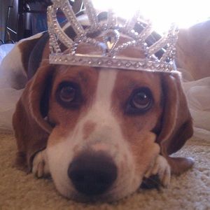 Meet your Posher, Angela